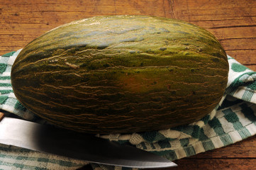 Cucumis melo Santa Claus  ft8106_0053 Piel de sapo