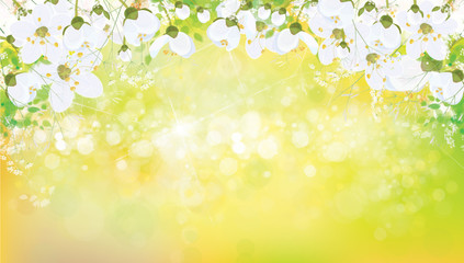 Vector spring floral background.