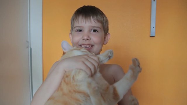 little boy picks up a cat, plays with him, makes funny grimaces on his face laughing