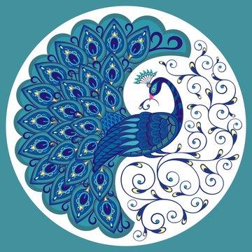 Peacock Drawing Fantasy Bird