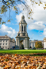 Fototapeta premium The Campanile of Trinity College with fall color