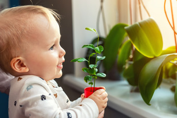 Cute little caucasian toddler boy with mother smiling and having fun holding pot with planted...