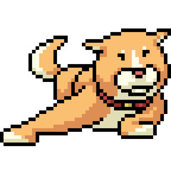 Fototapeta premium vector pixel art shiba dog funny
