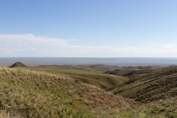 spring in the steppe of Kazakhstan