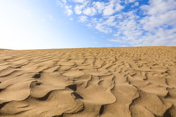 Summer background of sand on beach and free space for your decoration. 