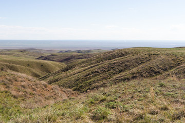 Fototapeta na wymiar spring in the steppe of Kazakhstan