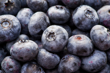 close-up ripe blueberry with free space for text