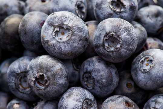 ripe blueberries, berries closeup