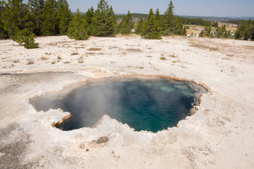Geyser in Firehole canyon drive  in Yellowstone National Park in Wyoming