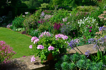 Garden view from terrace to colourful border and open countryside with Agapanthus and Pelargonium