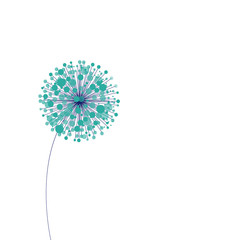 vector illustration of dandelion