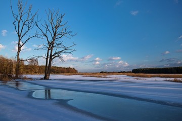 Samotne drzewa wieczorem nad rzeką skutą lodem na tle błękitnego nieba