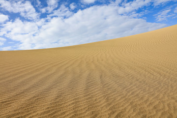 Fototapeta premium Summer background of sand on beach and free space for your decoration. 