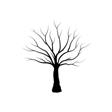 tree isolated - Vector