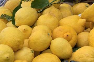ripe and fresh yellow lemon