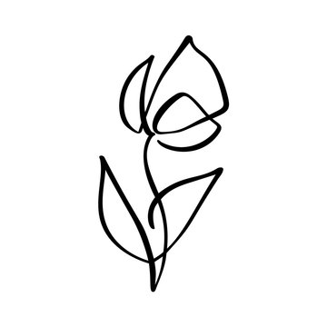 Tulip flower logo. Continuous line hand drawing calligraphic vector concept. Scandinavian spring floral design element in minimal style. black and white