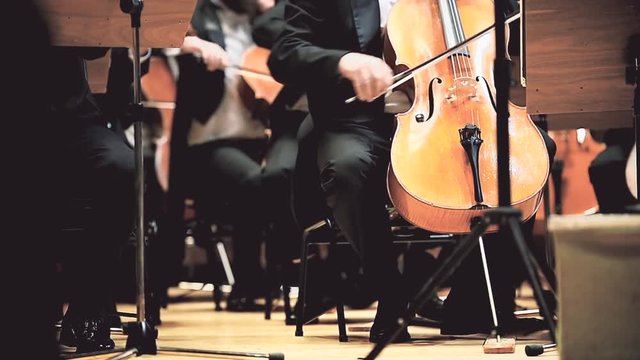 Violin players hand detail during philharmonic orchestra performance