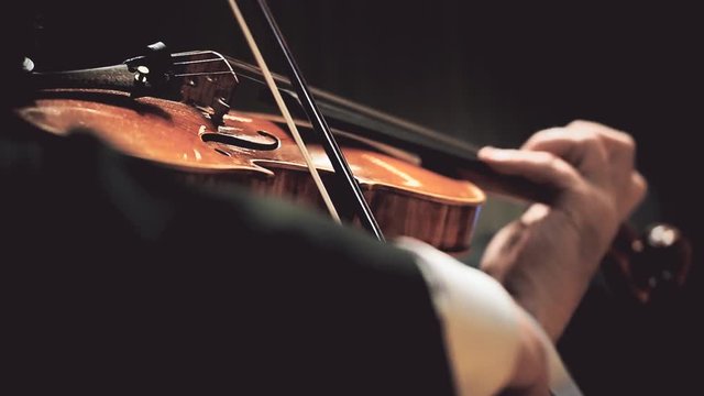 Violin players hand detail during philharmonic orchestra performance