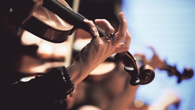 Violin players hand detail during philharmonic orchestra performance