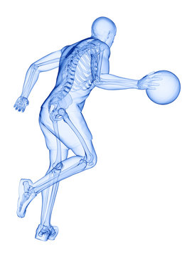 3d rendered medically accurate illustration of a basketball players skeleton