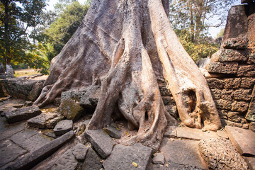 Obraz premium Banteay Kdei in Siem reap ,Cambodia