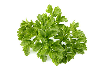 Fresh parsley leaves isolated.