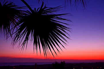 A stunnig Paphos sunset over the sea with palm leaf, Paphos Cyprus renouned for it's amazing sunsets