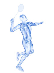3d rendered medically accurate illustration of the skeleton of a badminton player