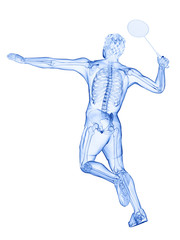 3d rendered medically accurate illustration of the skeleton of a badminton player