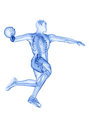 3d rendered medically accurate illustration of the skeleton of a handball player
