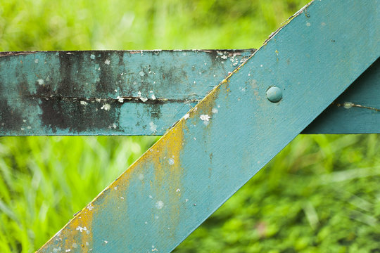 Green farm gate and green background