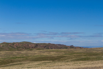 Fototapeta premium spring in the steppe of Kazakhstan