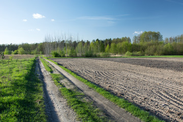 Fototapeta premium Road next to a plowed field, forest and blue sky