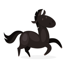 Horse wild or domestic animal. Black mammal