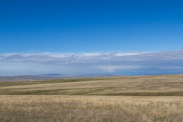 spring in the steppe of Kazakhstan