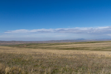 spring in the Kazakh steppes among the hills