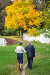 Back view of elderly couple walking together at beautiful autumn park. Vertical color photography.