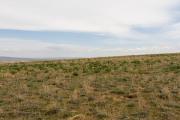 spring in the Kazakh steppes among the hills