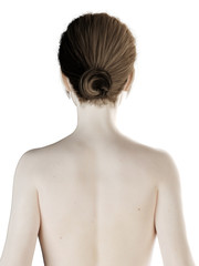 3d rendered illustration of a womans head