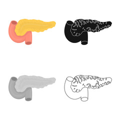 Vector design of pancreas and organ  symbol. Collection of pancreas and diagram stock vector illustration.