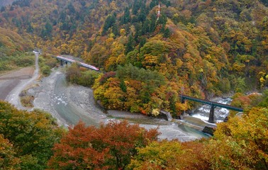 《秋田新幹線の風景》秋田県仙北市