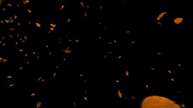 Autumn Leafs Flying, Alpha PNG transparent background, 4K