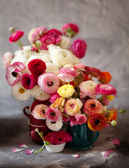 Ranunculus asiaticus or Persian buttercup bouquet in antique jug. Floral composition on grey backgound