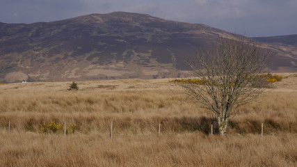 Frühlingslandschaft mit Bergen und Tälern auf der Insel Arran, Schottland