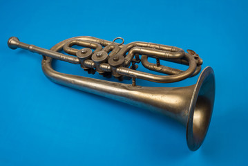 Old golden trumpet