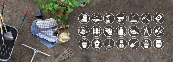 man work in the vegetable garden place a plant in the ground, icons and symbols of gardening...