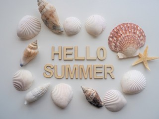 貝殻に囲まれた 