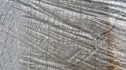 Fototapeta premium Wooden texture 