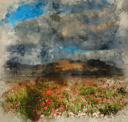 Watercolour painting of Landscape of poppy fields in front of mountain range with dramatic sky