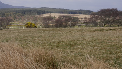 Frühlingslandschaft mit Bergen und Tälern auf der Insel Arran, Schottland